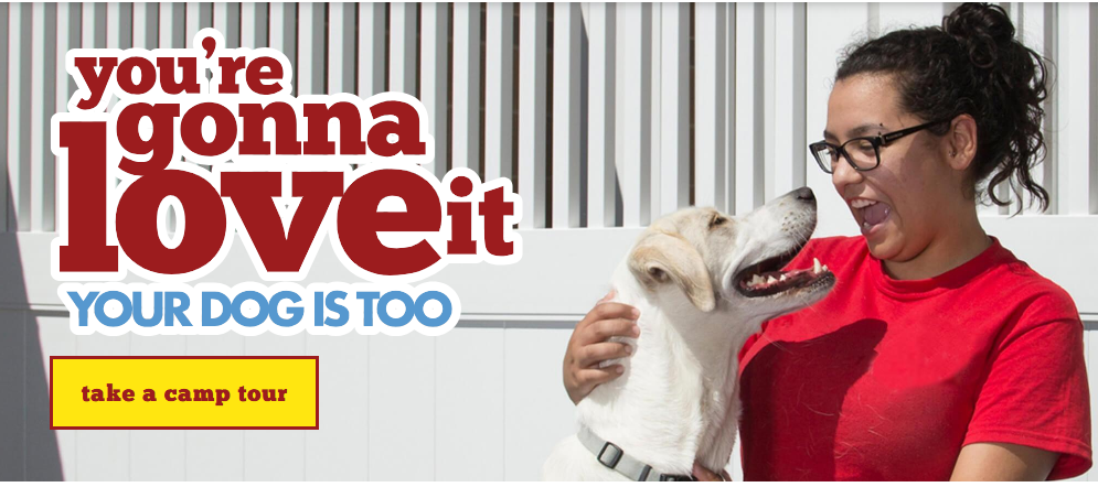 A person holding a dog

AI-generated content may be incorrect., Picture