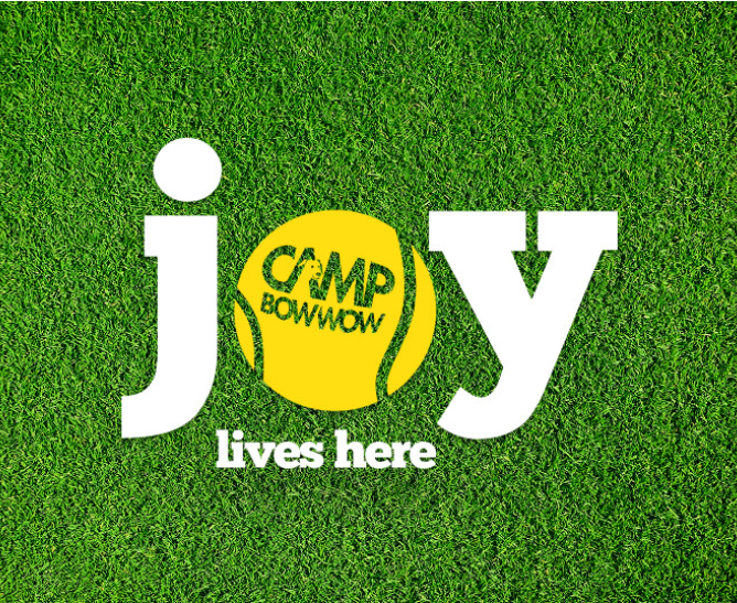 A logo on a grass field

AI-generated content may be incorrect., Picture